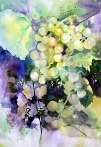 grapes watercolor