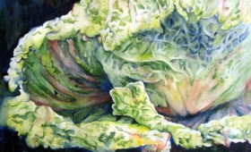 Napa Cabbage Infinity