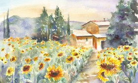 Sunflowers In Provence