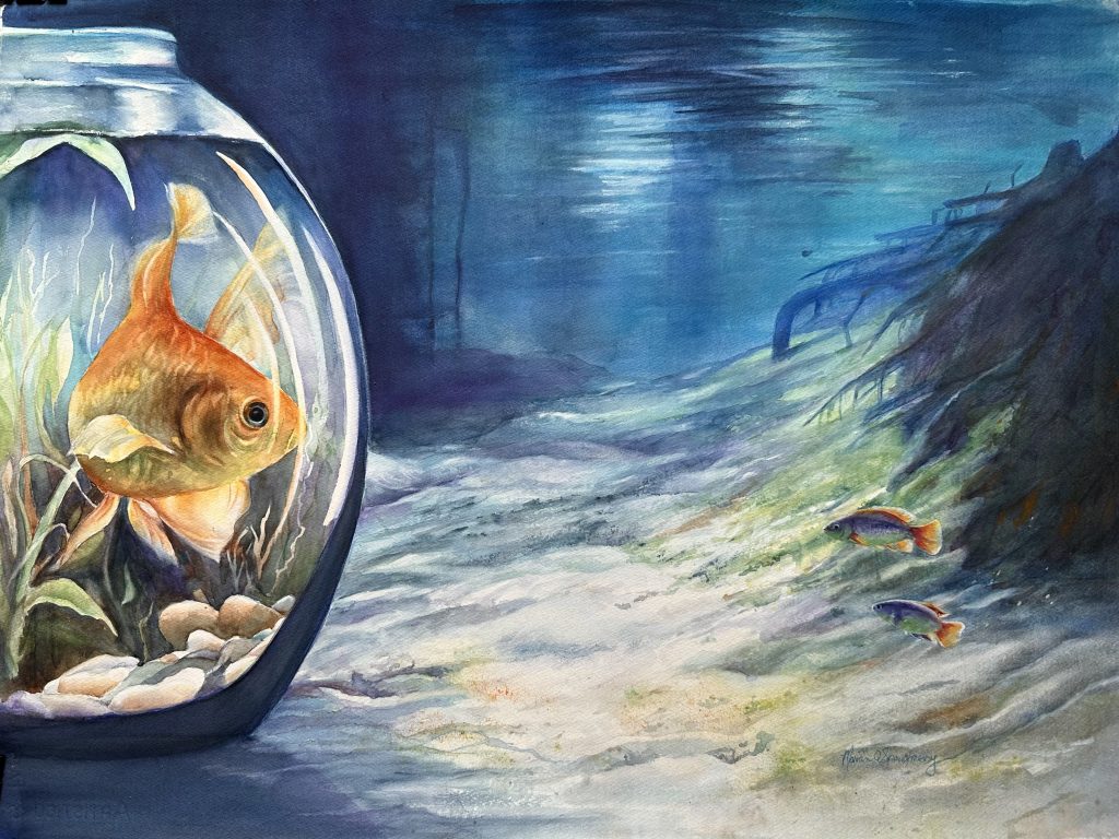 goldfish, watercolor, painting